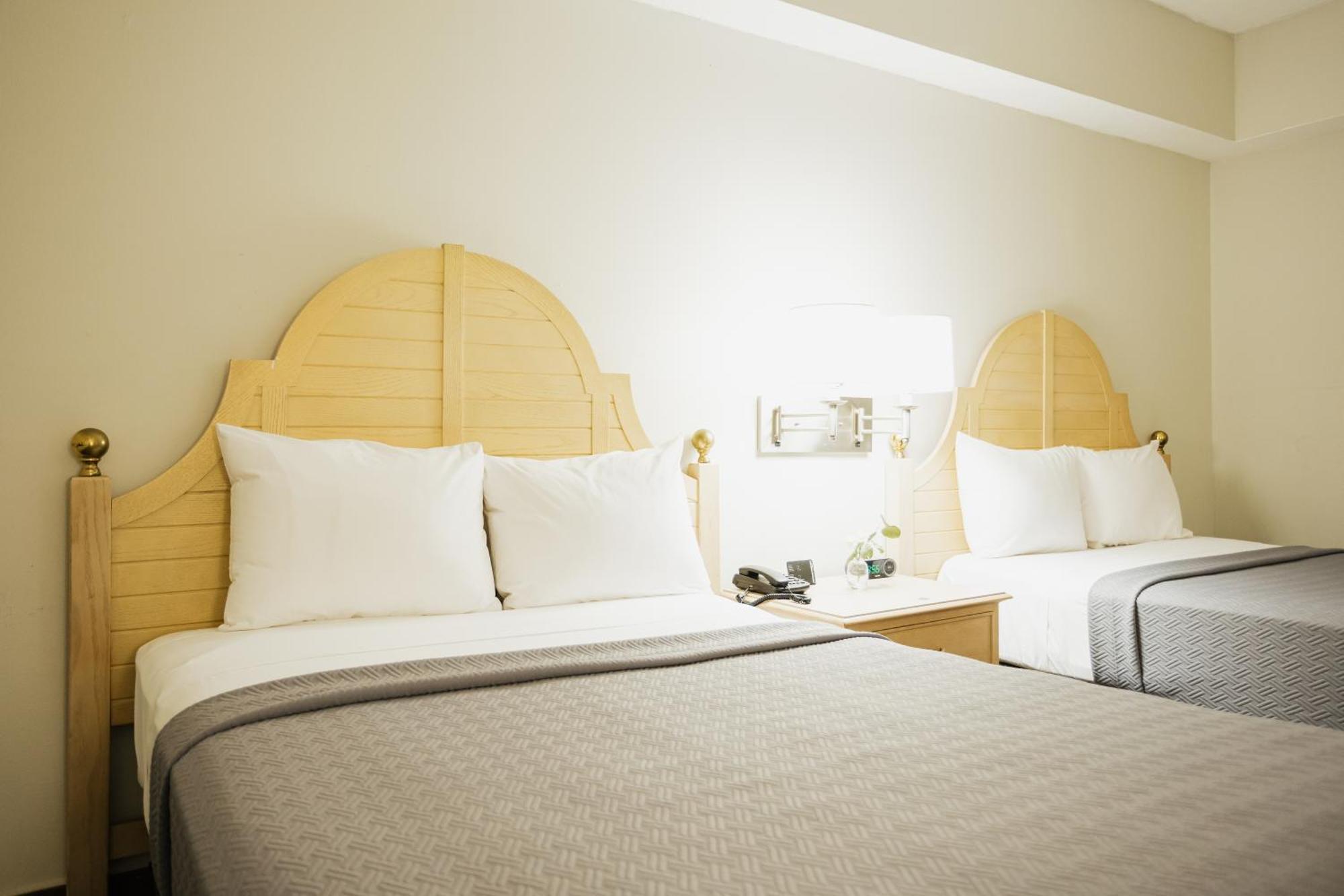 Hotel Parque Central Monterrey Eksteriør billede